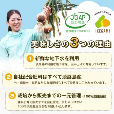 【定期便】淡路島 池上農場の完熟たまねぎ「あやたけ」10kg　12ヶ月コース　ai03811