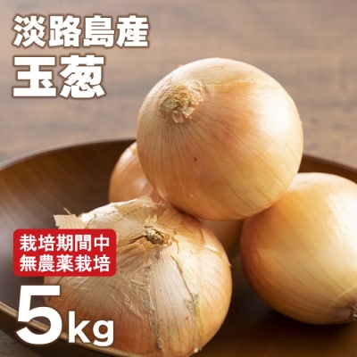 淡路島玉葱 5kg 【栽培期間中、無農薬栽培】サイズ混合SS～2L　at18801