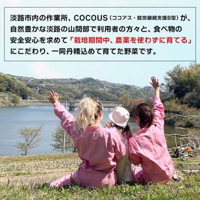 淡路島玉葱 5kg 【栽培期間中、無農薬栽培】サイズ混合SS～2L　at18801