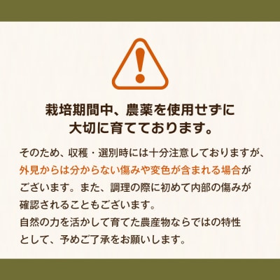 淡路島玉葱 5kg 【栽培期間中、無農薬栽培】サイズ混合SS～2L　at18801