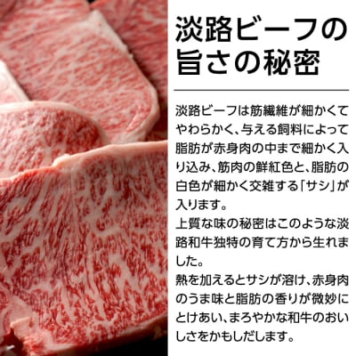 特選淡路ビーフステーキ600g(200g×3枚)【お届け日指定返礼品】　aa16706