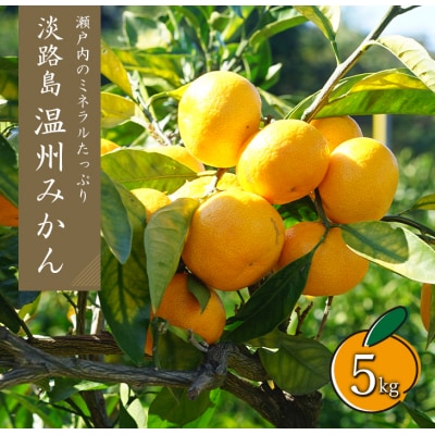温州みかん　5kg　サイズ色々S・M・Lミックス　aa28014