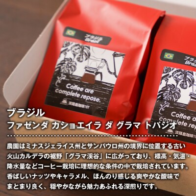 【淡路島珈琲157】深煎り珈琲 ブラジル 中挽き 300g ボトル付 コーヒー 粉　aa38056