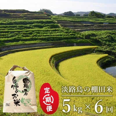 【定期便】淡路島の棚田米　5kg×6回　ae01618