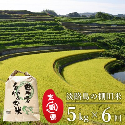 【定期便】淡路島の棚田米 5kg×6回(毎月発送)　ae01084