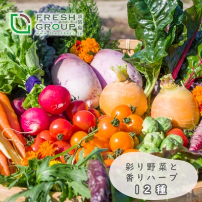 フレッシュグループ淡路島彩り野菜と香るハーブセット【お届け日指定返礼品】　ah11801
