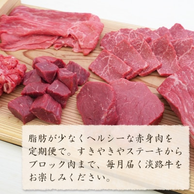 【定期便6カ月】淡路牛 特選赤身肉定期便　ah14841