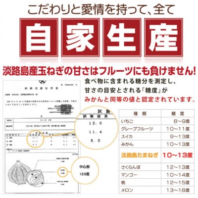 【新たまねぎ】今井ファームのかくし玉5kgと玉ねぎスープ10食　4月下旬～5月頃発送　ai01815