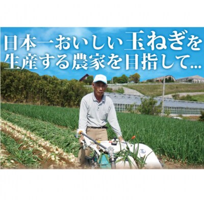 【新たまねぎ】今井ファームのかくし玉5kgと玉ねぎスープ10食　4月下旬～5月頃発送　ai01815