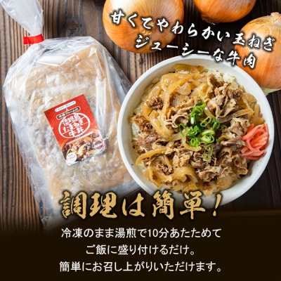 【定期便12ヶ月】淡路島たまねぎ牛丼の具　10食×12ヶ月　ai01736