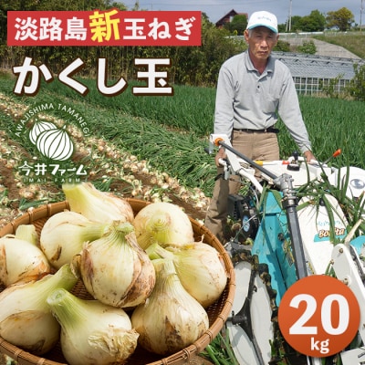 【新たまねぎ】今井ファームの淡路島たまねぎ「かくし玉」20kg　4月下旬～5月頃発送　ai01849