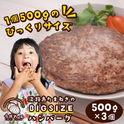 淡路島たまねぎのBIG SIZEハンバーグ 500g×3個　ai01761