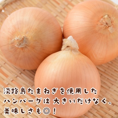 淡路島たまねぎのBIG SIZEハンバーグ 500g×3個　ai01761