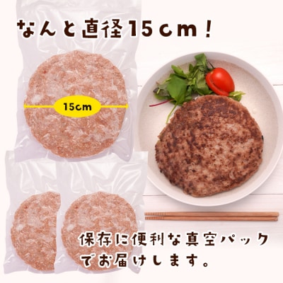 淡路島たまねぎのBIG SIZEハンバーグ 500g×3個　ai01761