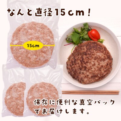 淡路島たまねぎのBIG SIZEハンバーグ 500g×3個　ai01761