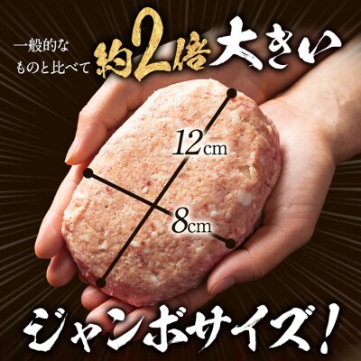 【定期便12ヶ月】淡路島たまねぎどっさりジャンボハンバーグ 200g×12個　ai01149