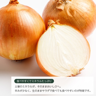 いざなぎ農園の淡路島たまねぎ 10kg　ai02801