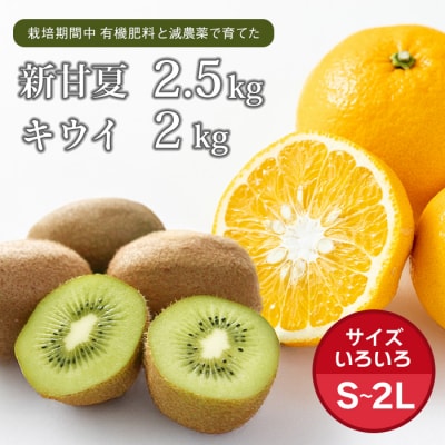 片山農園の淡路島産新甘夏2.5kgとキウイ2.0kg【サイズ色々S～2Lサイズ】　ak03803