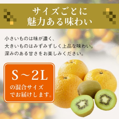 片山農園の淡路島産新甘夏2.5kgとキウイ2.0kg【サイズ色々S～2Lサイズ】　ak03803