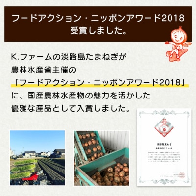 【定期便12ヶ月】淡路島たまねぎ 大きな2Lサイズ 5kg　ak04034