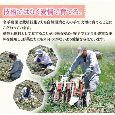 【定期便】名手農園の淡路島特産玉ねぎ(5kg)とお米(3kg)の10ヶ月コース　an03803