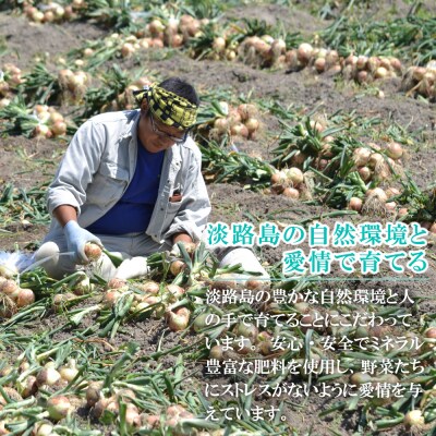 【新たまねぎ】名手農園の淡路島特産玉ねぎ5kgとお米3kg【発送時期3～5月】　an03031