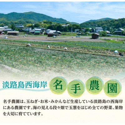 【定期便】名手農園の淡路島特産玉ねぎ(5kg)とお米(5kg)の10ヶ月コース　an03035