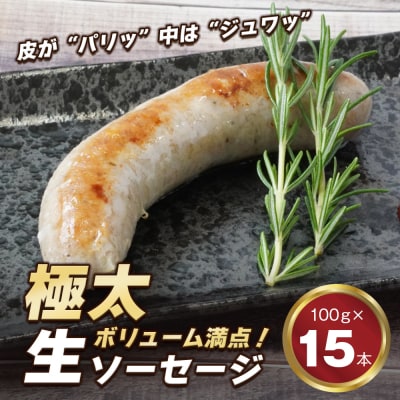 生ポークソーセージ 100g×15本入り　ao05709