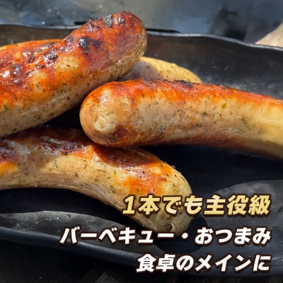 生ポークソーセージ 100g×15本入り　ao05709