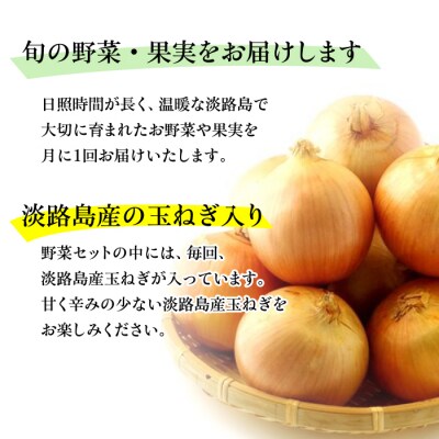 淡路島産野菜定期便1年セットC【毎月下旬平日お届け】　ap01727