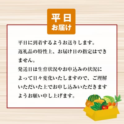 淡路島の新鮮野菜セット【平日お届け】　ap01639