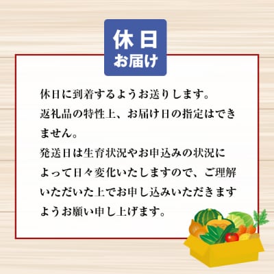 淡路島の新鮮野菜セット【休日お届け】　ap01640