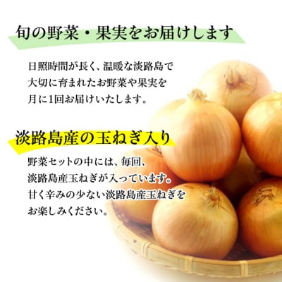 淡路島の新鮮野菜セット【休日お届け】　ap01640