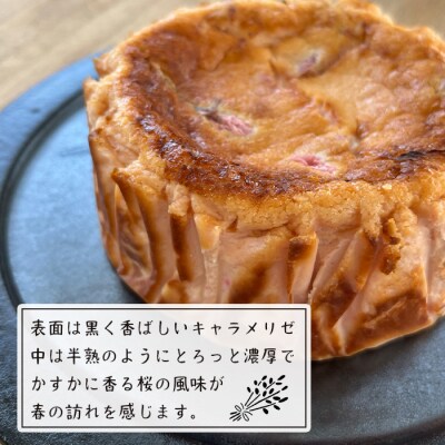 さくらのバスクチーズケーキ　ap06049