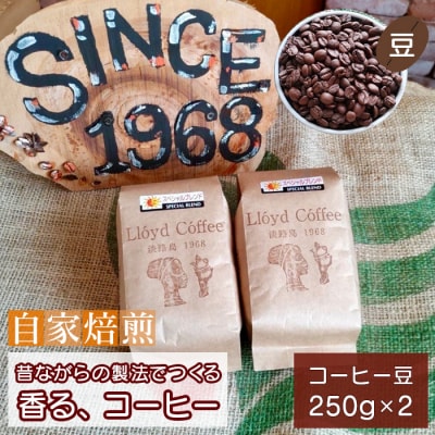 ロイドコーヒースペシャルブレンド(豆) 500g(250g×2個)　ar04801