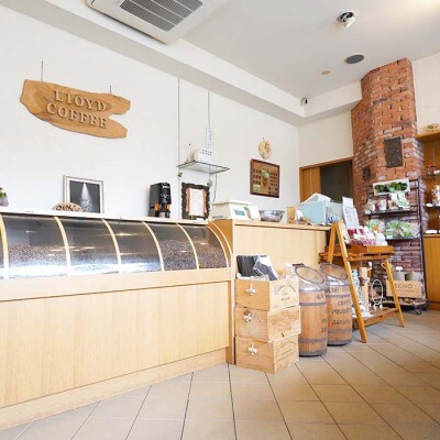 ロイドコーヒースペシャルブレンド(豆) 500g(250g×2個)　ar04801