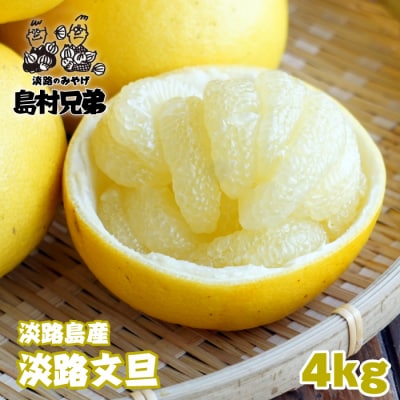 淡路島産　淡路文旦　4kg　as02030