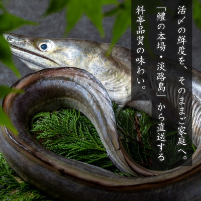 活〆淡路島産 鱧 (はも) 骨切り 【鮮度自慢】 1kg(500g×2袋) 冷凍　as21047