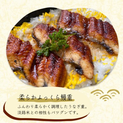 謹製　淡路牛と島玉葱・彩り野菜のステーキ重・ふっくら鰻重(淡路産コシヒカリ使用)　as24005