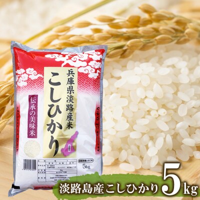 淡路島産こしひかり5kg　at03601