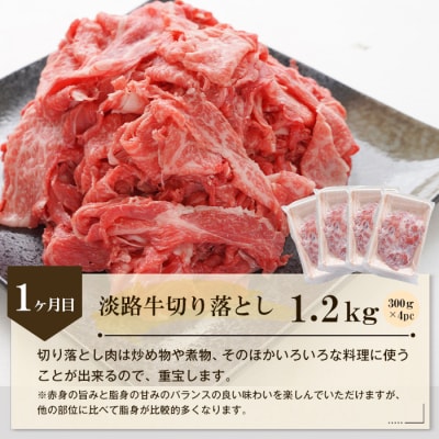 【3ヶ月コース】「淡路牛」肉の定期便(切り落とし・ハンバーグ・すきやき)　at04790