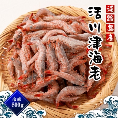 淡路島産 活川津エビ 800g　aj01027