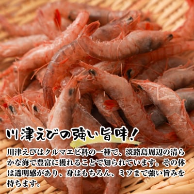淡路島産 活川津エビ 800g　aj01027