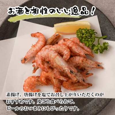 淡路島産 活川津エビ 800g　aj01015