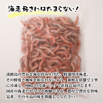 淡路島産 活川津エビ 800g　aj01015