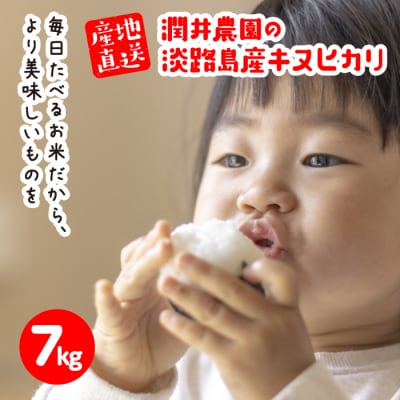 潤井農園のキヌヒカリ 7kg　au03701