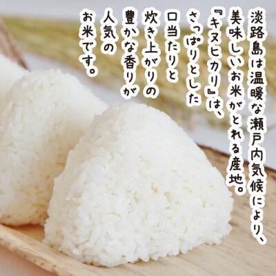 潤井農園のキヌヒカリ 7kg　au03701