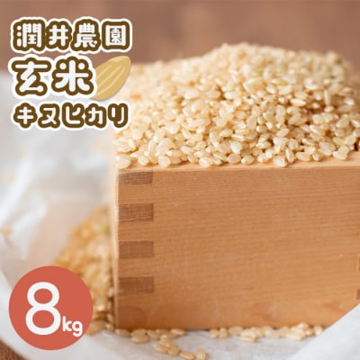 潤井農園の玄米キヌヒカリ　8kg　au03704