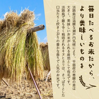 潤井農園の玄米キヌヒカリ　8kg　au03704