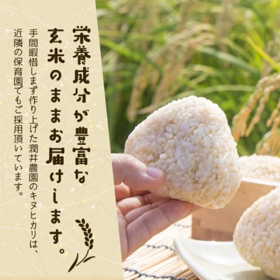 潤井農園の玄米キヌヒカリ　8kg　au03704